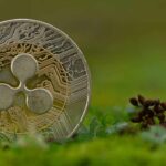 Pepeto to Launch on Exchange Following Presale Wrap-Up and Platform Milestones