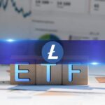 Circle brings USDC to XRP Ledger in major stablecoin expansion post-IPO