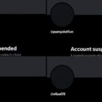 Polyhedra’s ZKJ token collapses following ‘abnormal on-chain activity’