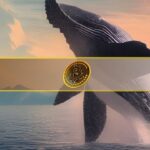 NFT Trading Hits New Low, But Sales and Users Rise