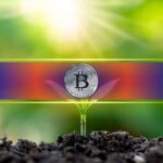 Coinbase’s Bitcoin Cache Hits 2.9M—Here’s Who’s Behind the Stack