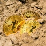 Botswana Explores Potential Launch of Central Bank Digital Currency