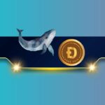 Ripple CTO Says XRP Ledger Has Been Battle-Tested To Power World’s Financial System