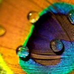 Is Ripple’s Price About to Tumble?
