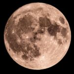 BlackRock rules out XRP and SOL ETFs despite Ripple-SEC case closure