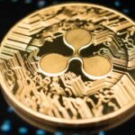 Are Cardano Whales Preparing for Something?