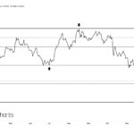 Van Eck: Investors Shed Bitcoin Bracing for a Bearish 2026