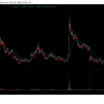 Bitwise Debuts Dogecoin ETF on NYSE With Fee Incentives and Mainstream Appeal