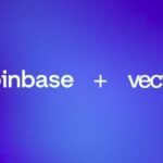 Michael Saylor’s Poll Shows Broad Hesitation to Sell Bitcoin During Sharp Decline