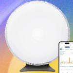 Is the Crypto Bull Cycle Over, or Is This Just a Deep Correction? CryptoQuant Offers Insights