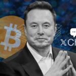 The Best Mushroom Gifts for Your Fungi Friend (2025)