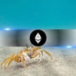 WhatsApp gets its own Instagram Notes-like feature