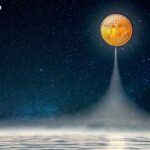 Trump administration might not fight state AI regulations after all