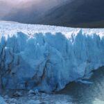 These Are This Week’s Top Performers as Bitcoin Settles at $91K: Weekend Watch