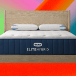 Is Crypto Trading The Last Hope of Gen Z?