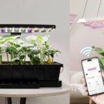 Ripple Celebrates RLUSD Ascent: ‘We’ve Gone From 0 to Top 5 USD Stablecoin in Record Time’