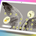 Ripple Scamberry Pie Campaign Lifts XRP Focus