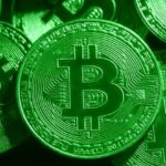 Pebble Index: Everything You Need to Know About the $75 Smart Ring