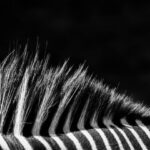 SEC Educates Retail Investors on Holding Crypto as Custody Decisions Become Market-Critical