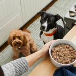 Ether ETFs Flip Green as Bitcoin Sees 3rd Straight Outflow Day