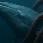 Dogecoin price metrics hint at early-cycle reset, key barrier at $0.20