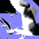 California Gov. Gavin Newsom Takes Aim at President Trump’s Crypto Pardons and Ventures