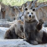 The Best Earplugs for Protecting Your Hearing (2026)