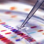 Morgan Stanley Files Second Amendment for Direct Spot Bitcoin ETF Product