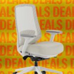 Retail Sentiment Turns Bearish While Bitcoin Holdings Rise Across Both Small and Large Wallets