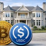 Improving XRP Has Become Ripple’s North Star