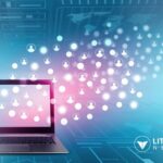 Edward ‘Big Balls’ Coristine Is Helping Out on Viral Fraud Videos Now