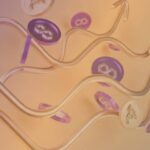 Creator Launches The Complete Works of Shakespeare in The Otherside