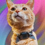 Easily earn passive income through automated crypto trading