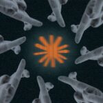 NASA Moon mission fuels Kalshi bets on post-splashdown remarks