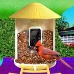 Why is XRP flat despite record ETF inflows?