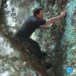 How to Get Reliable Wi-Fi in Your Backyard