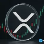 XRP ETFs Post Best Ever Inflow Streak