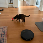 Is Ripple (XRP) About to Drop to $0.70 Before Breaking Multi-Year Resistance?