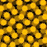 XRP Adoption Expands as Ripple Embeds Digital Asset Capabilities Directly into Enterprise Treasury Platforms – Featured Bitcoin News