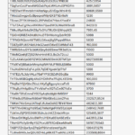 How Lonely Island’s Jorma Taccone and BriTANick went from ‘SNL’ to Hollywood