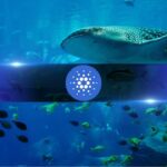 XRP’s Firm Position Above $1.38 Could Open the Door for Another Leg Up