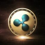 Here’s What the Latest On-Chain Data Reveals