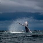 Bitcoin liquidations hit $320M on SEC stock news
