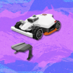 Why Wadoozie Is Ditching Online Hype for Real-World Participation