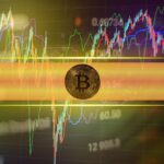 How the Network Processed $309 Million in Stablecoins Last Month
