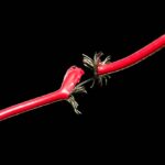 Crypto News Today (June 2): $766M in Liquidations as BTC Crashes Below $70K