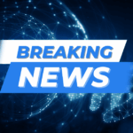 Here’s How Many SHIB Tokens Were Burned in July