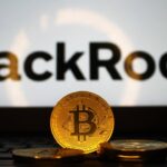XRP Ripple Ledger Gets Busier Without Attracting New Users