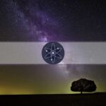 X sends cease-and-desist to open-source project Nitter over alleged scraping