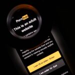 ZachXBT Links Tiffany Milanovich to Alleged $5M Crypto Scam Ring